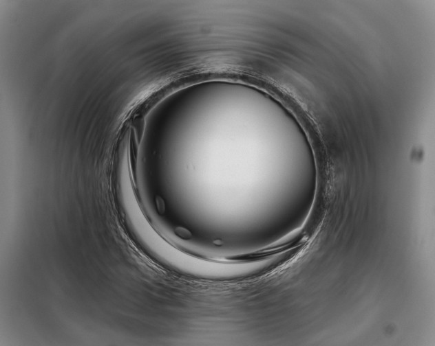 X0000098150922200804171609