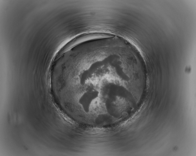 X0000098150925200804171609