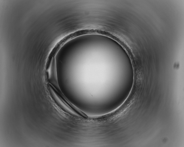 X0000098150927200804171609