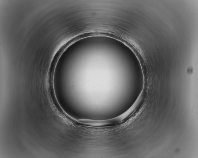 X0000098150928200804171609