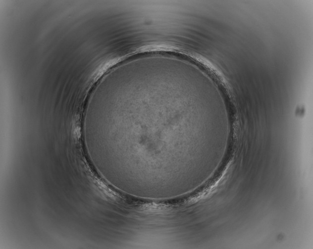 X0000098150929200804171609