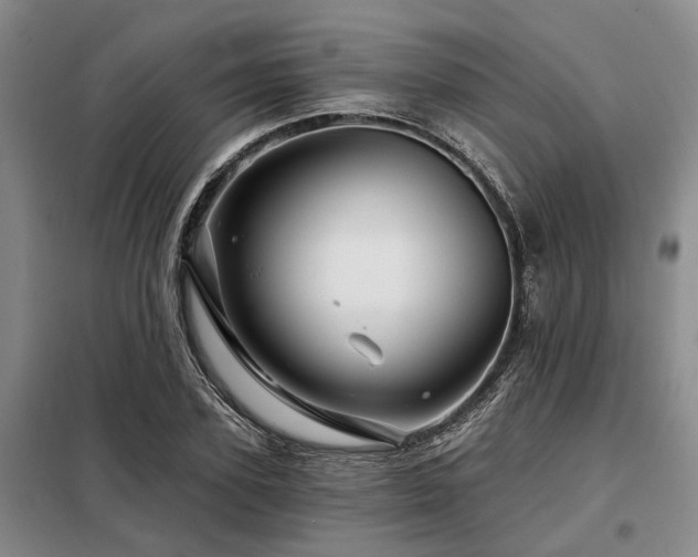 X0000098150931200804171609