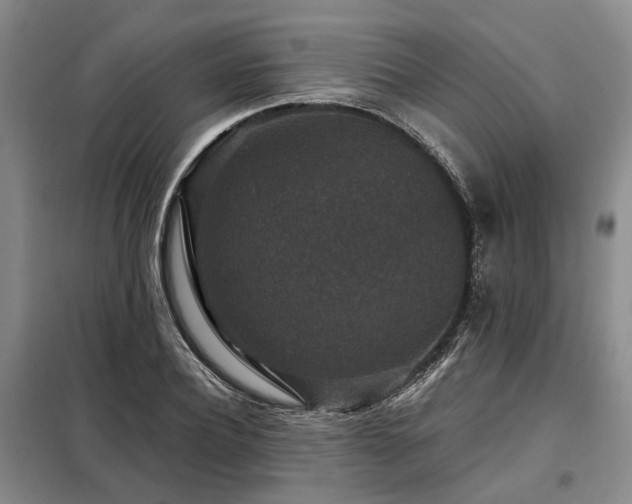 X0000098150932200804171609