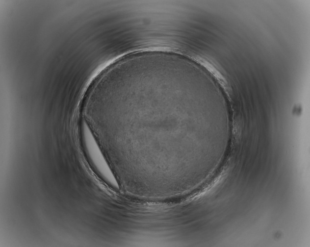 X0000098150933200804171609
