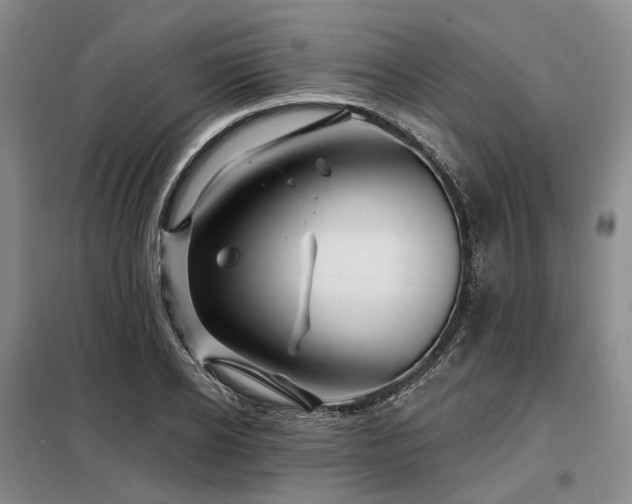 X0000098150934200804171609