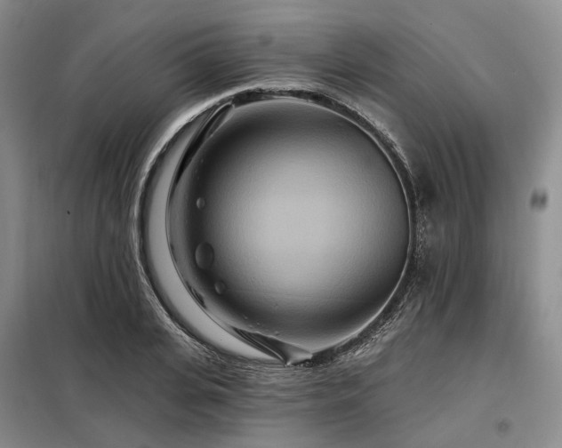X0000098150935200804171609