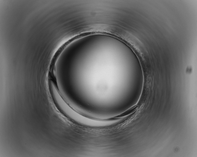 X0000098150936200804171609