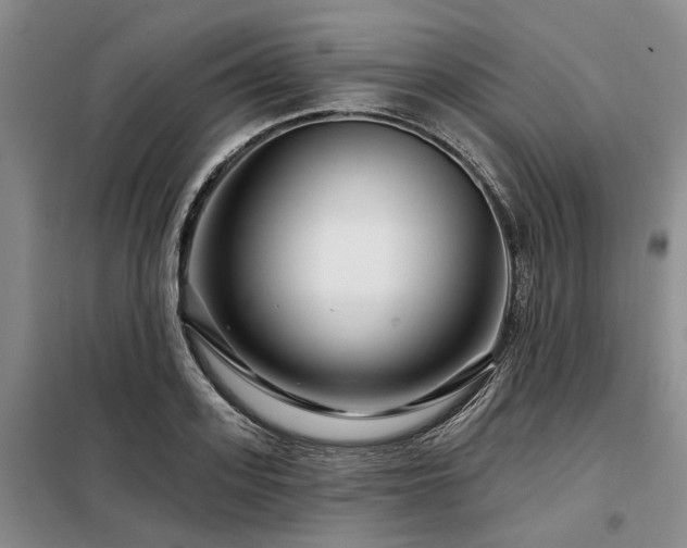 X0000098150939200804171609