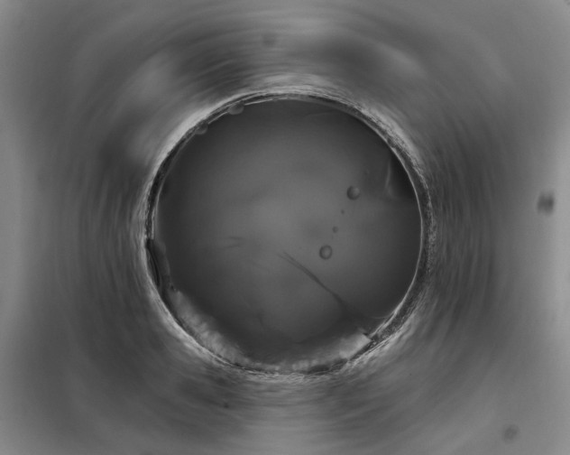 X0000098150941200804171609