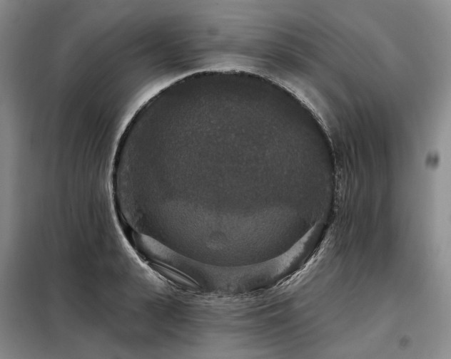 X0000098150943200804171609