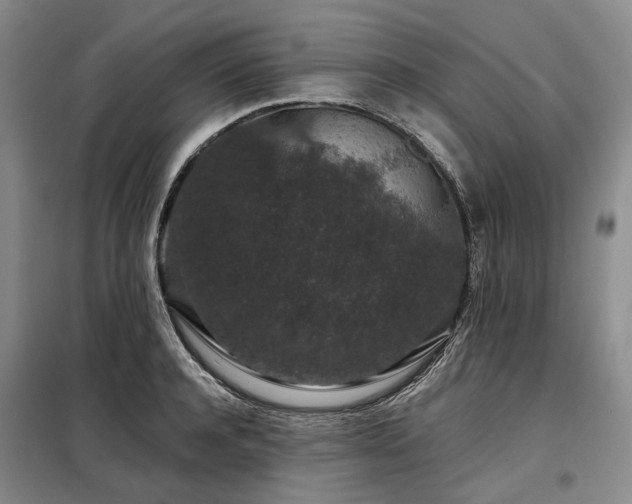 X0000098150944200804171609