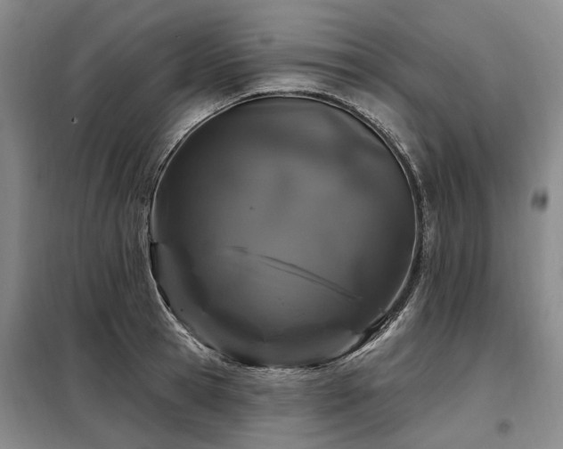 X0000098150945200804171609