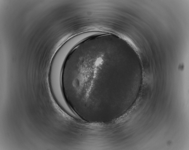 X0000098150946200804171609