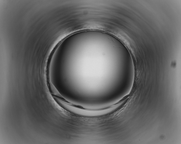 X0000098150947200804171609