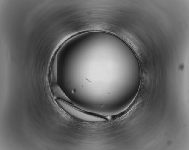 X0000098150948200804171609