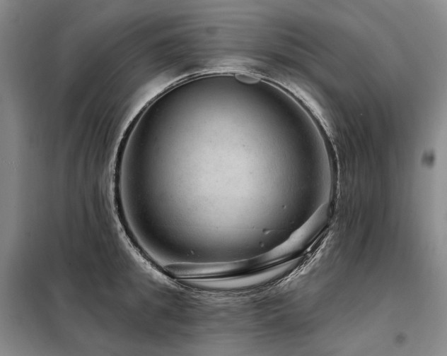 X0000098150949200804171610
