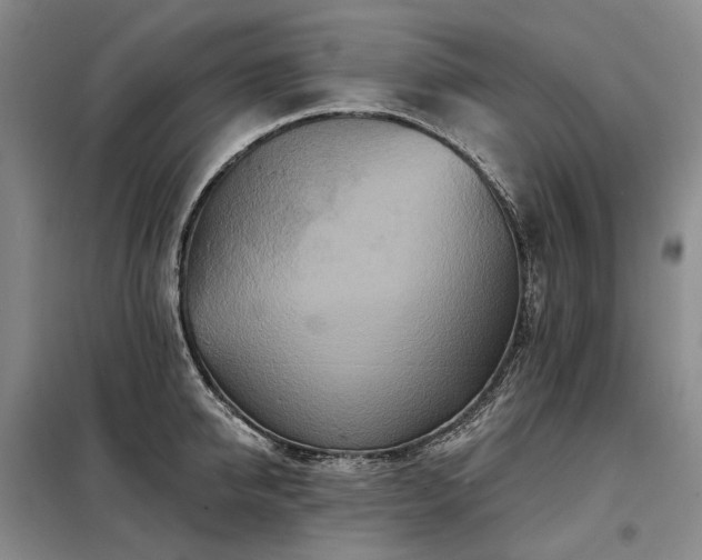 X0000098150950200804171610