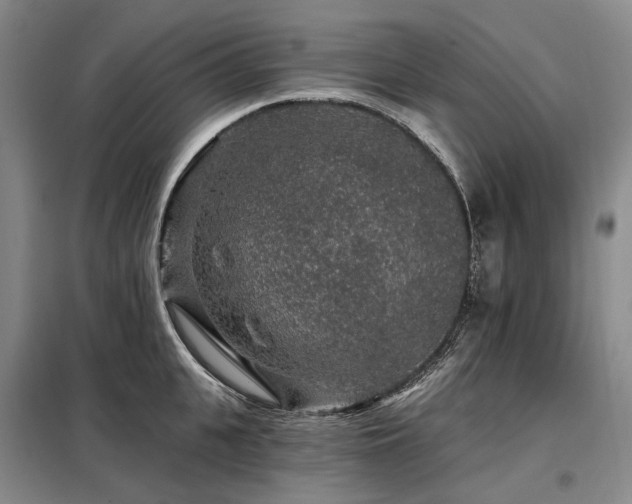 X0000098150951200804171610