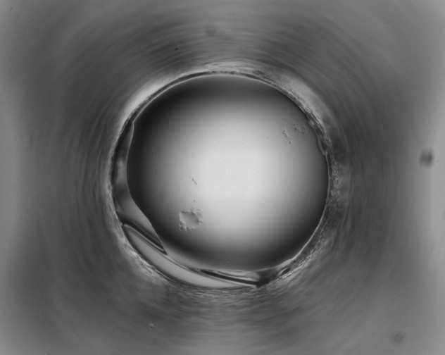X0000098150952200804171610
