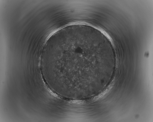 X0000098150953200804171610