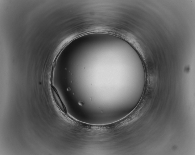 X0000098150954200804171610