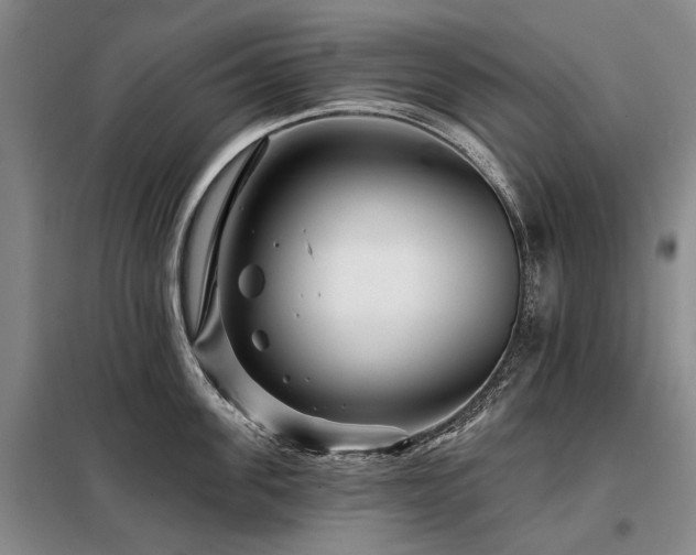 X0000098150955200804171610