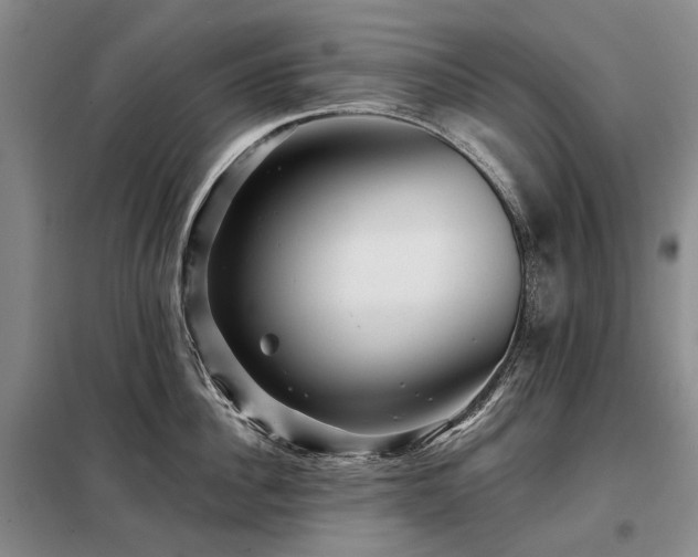 X0000098150956200804171610