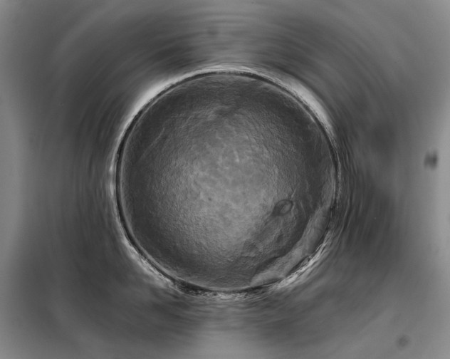 X0000098150958200804171610