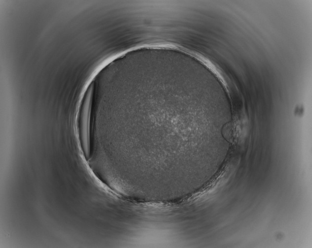 X0000098150959200804171610
