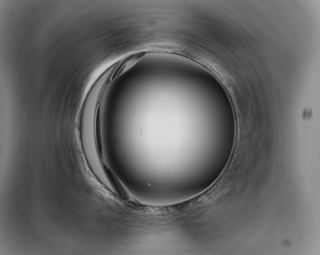 X0000098150960200804171610