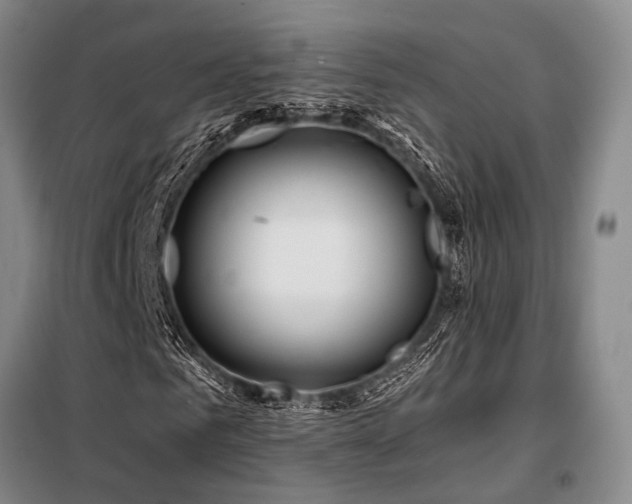 X0000098150961200804171609