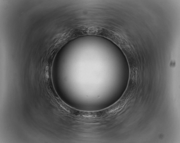 X0000098150962200804171609