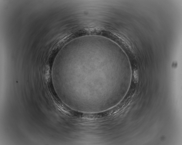 X0000098150963200804171609