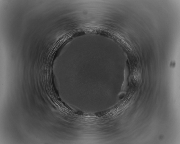 X0000098150964200804171609