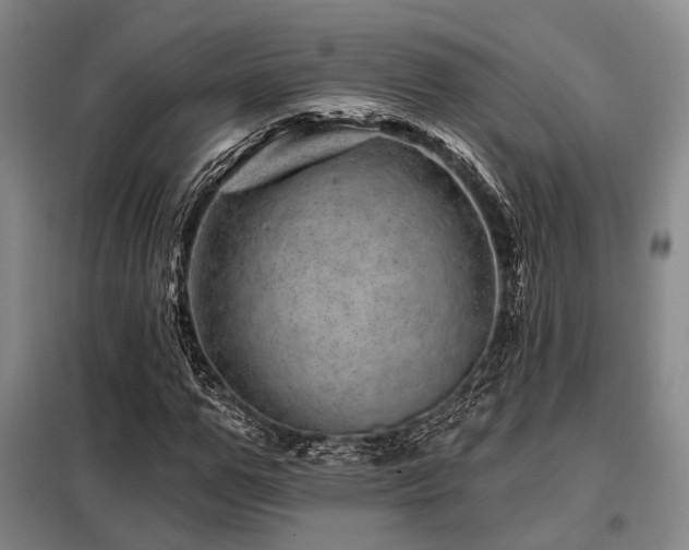 X0000098150967200804171609