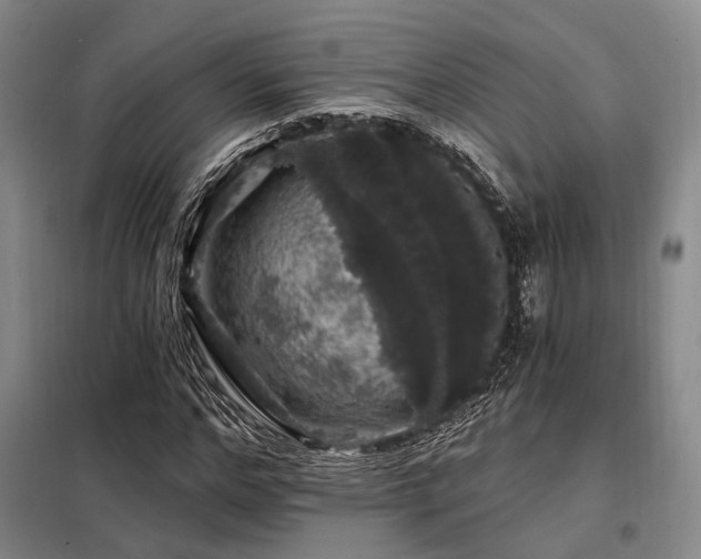 X0000098150968200804171609