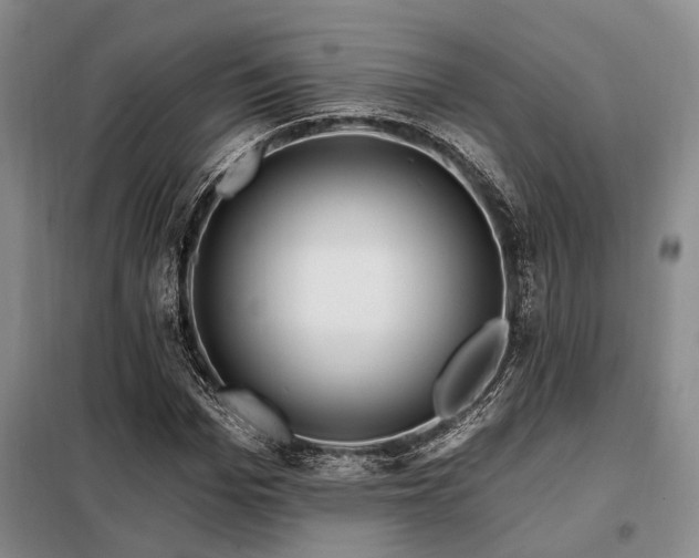 X0000098150969200804171609