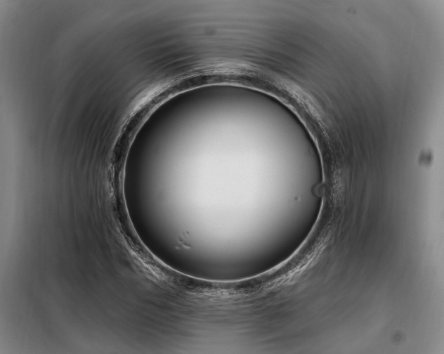 X0000098150970200804171609