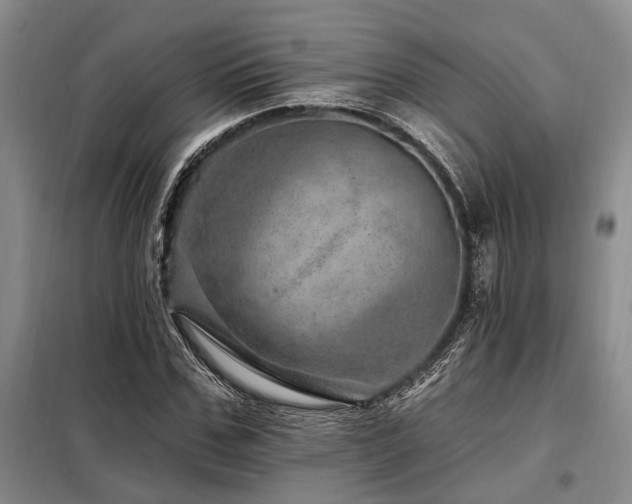 X0000098150971200804171609