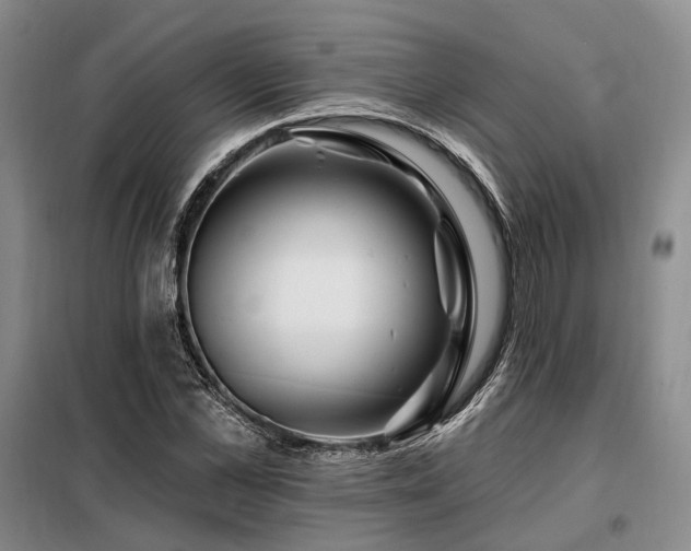 X0000098150973200804171609