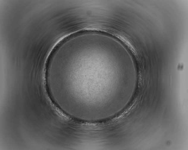 X0000098150976200804171609