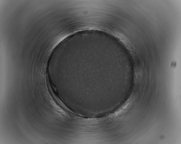 X0000098150977200804171609