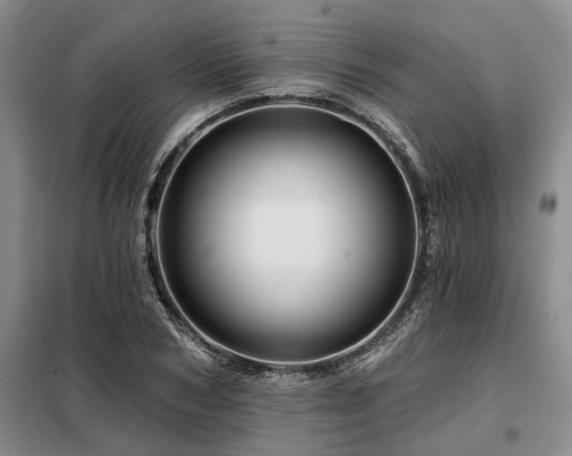 X0000098150978200804171609
