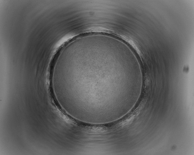 X0000098150979200804171609
