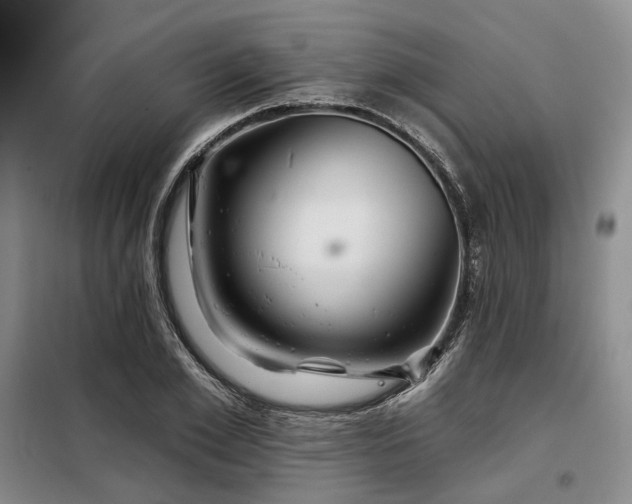 X0000098150981200804171609