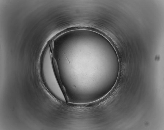 X0000098150982200804171609