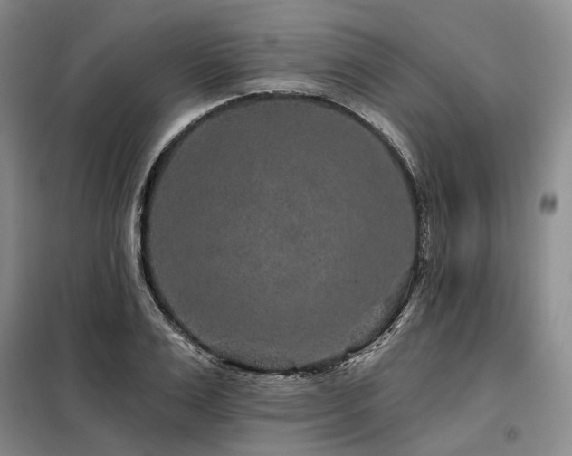 X0000098150983200804171608