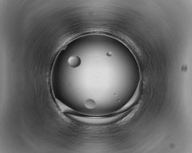 X0000098150985200804171608