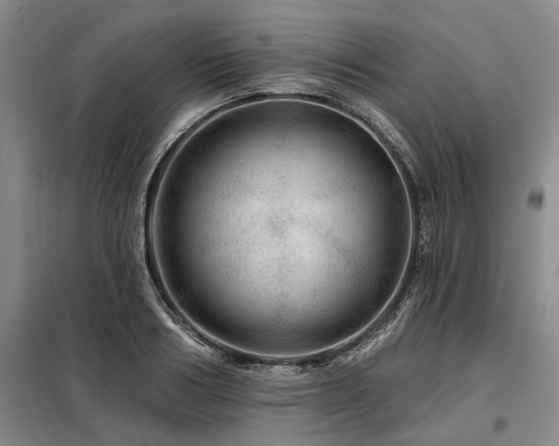 X0000098150986200804171608