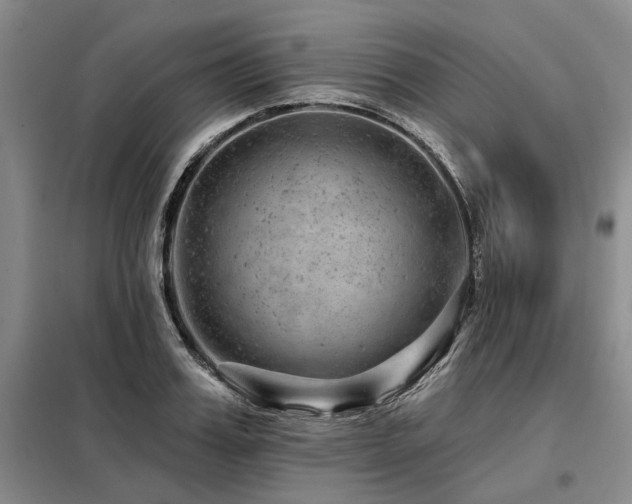 X0000098150987200804171608